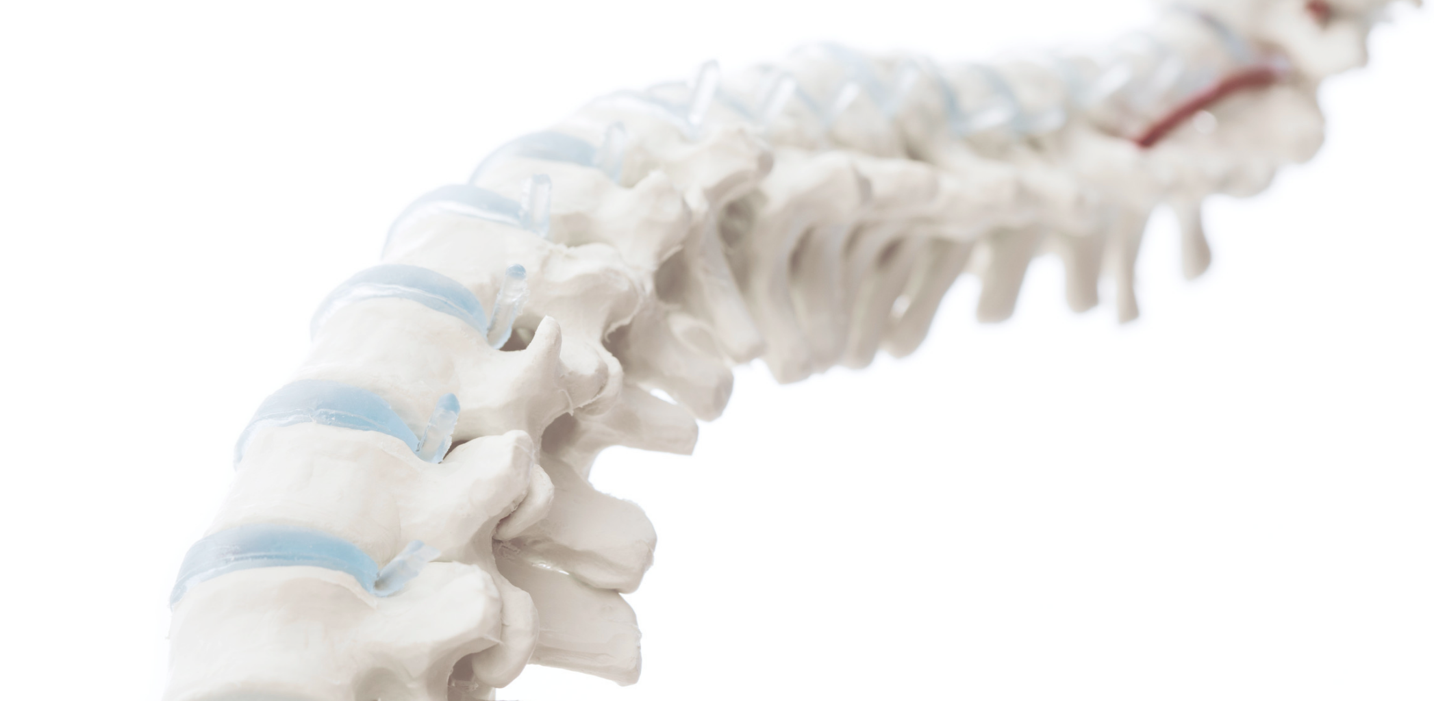Máster en Osteopatía en las disfunciones musculoesteléticas